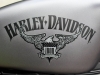 Test-Harley-Davidson-IRON-833- (16)